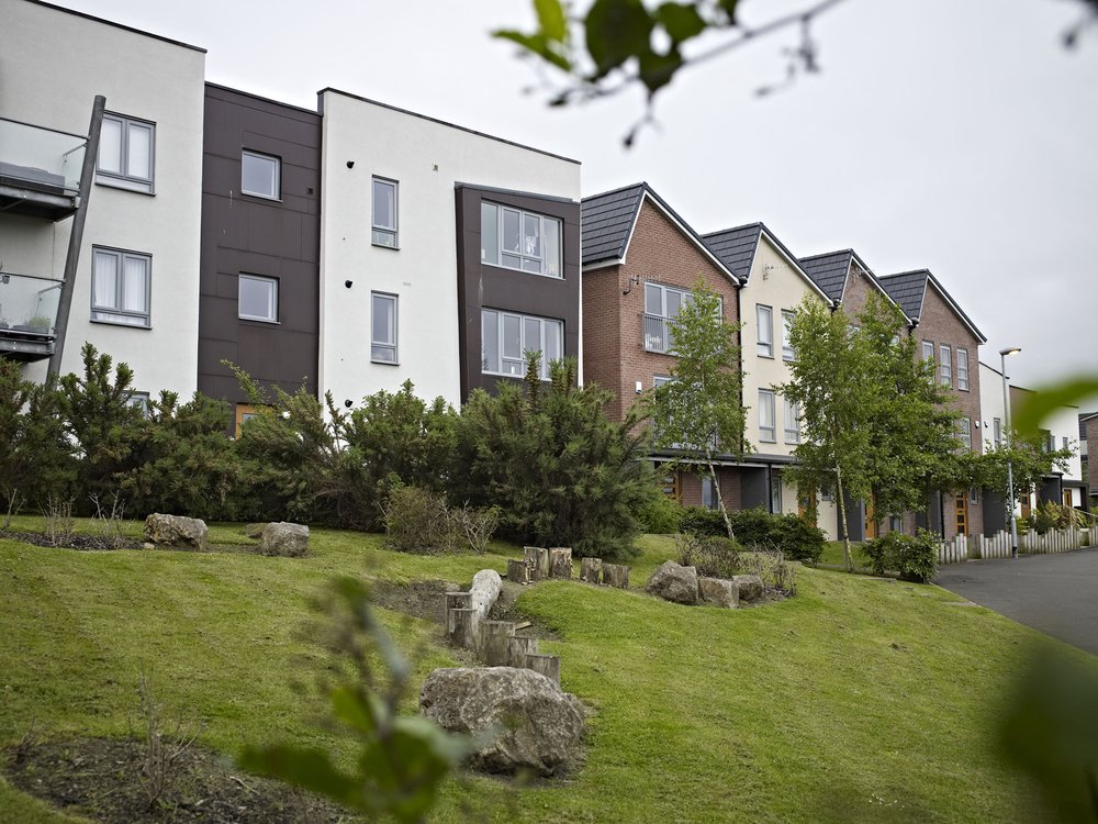 New homes look out over a green grassy bank